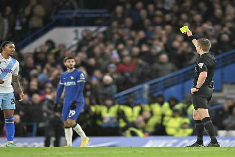 Fans Mock Referee Michael Salisbury After Hilarious Mistake in Chelsea's Win over Palace
