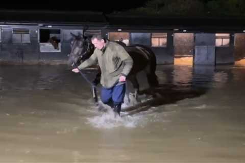 Champion Trainer Paul Nicholls Evacuates Horses Amid Flash Flood at Ditcheat Stables