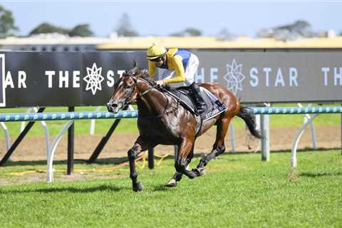 Waterhouse Reigns Supreme at Gold Coast, Storm Boy Storms to 2024 Magic Millions Classic Glory