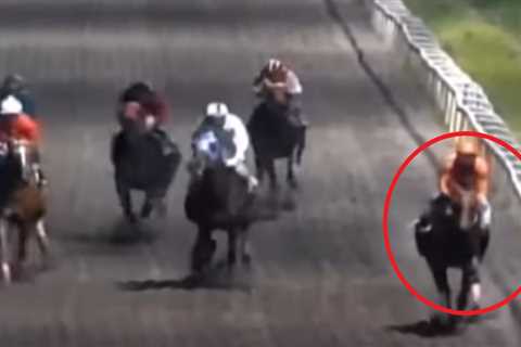 Jockey Tragically Dies After Being Trampled by Horses in Horrific Race Accident