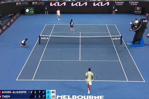 Naughty Seagull Hilariously Interrupts Two Australian Open Matches