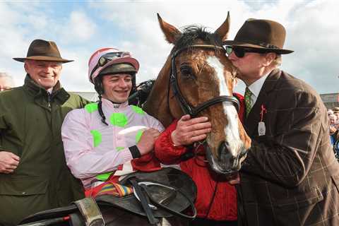 Punters swoon 'I'm in love' as Willie Mullins unveils new superstar