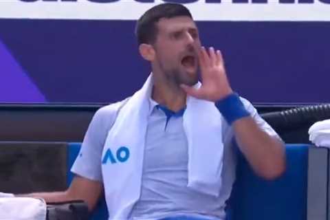 Novak Djokovic Loses Temper at Australian Open Quarter-Finals