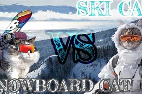 Skiing VS Snowboarding!  Which Snow Cat Wins?