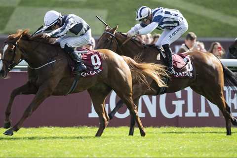 441-1 double: top Irish jockey Shane Foley heads to Newmarket on Thursday ✈️