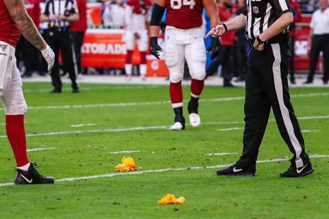 NFL Officials in the Postseason that cover Denver Broncos games