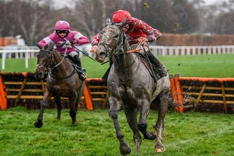 Sir Alex Ferguson Breaks Record with £633,000 Purchase of Jumps Horse Caldwell Potter