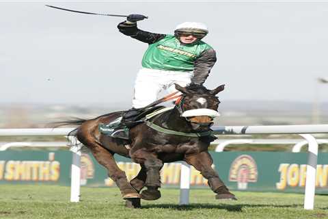 Templegate's Grand National Tip Revealed: 22-1 Ante-Post Selection