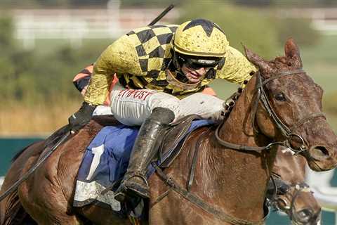 This Willie Mullins Grade 1 winner is a steal for Cheltenham and three horses to watch