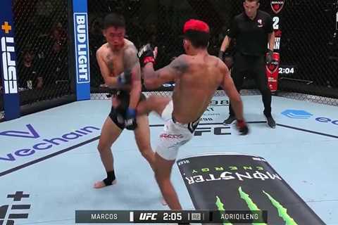 UFC Star Rushed to Hospital with Horrific Testicular Injury After Wild Fight with Multiple Illegal..