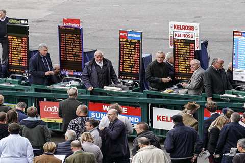 How to Read a Racecard: Your Guide to Picking a Winner