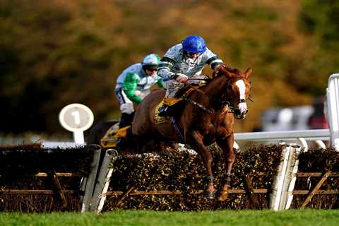 Oldest Ever Champion Hurdle Winner Could Emerge Amid Health Scare