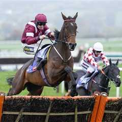 Cheltenham Day Two: Fact To File Wins Novices’ Steeple Chase