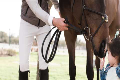 Presentation Rules for Horses at Shows in Scottsdale, Arizona