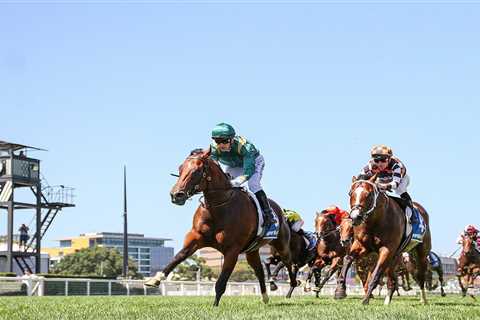 2024 Blue Diamond Stakes Field Loses Top Contender Bodyguard