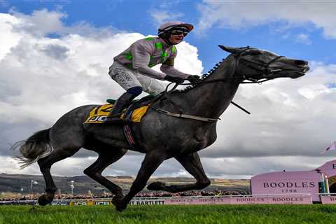 AP McCoy Tips Lossiemouth as the One to Watch at Cheltenham