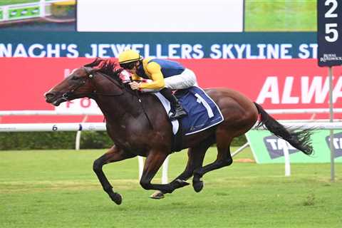 Storm Boy Cruises in Skyline Stakes, 2024 Golden Slipper Favouritism Strengthens