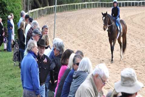Discovering the Equestrian Scene in Aiken, SC
