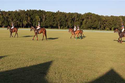 Experience the Exciting World of Equestrian Events at Aiken Polo Club