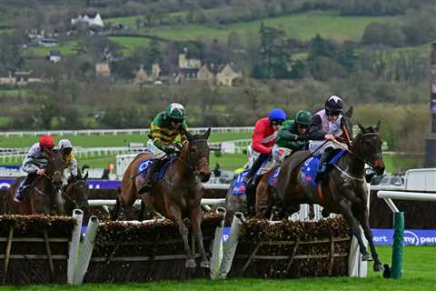 Cheltenham Festival Day Two: Ballyburn Wins Novices' Hurdle