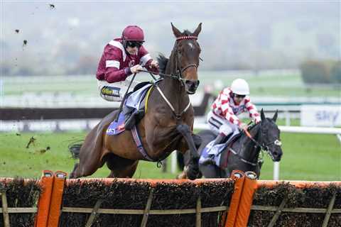 Cheltenham Day Two: Fact To File Wins Novices’ Steeple Chase