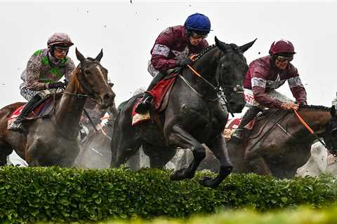 Cheltenham Festival Race Abandoned Due to Unraceable Track