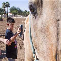 Accommodations for Disabled Attendees at Horse Shows in Scottsdale, Arizona