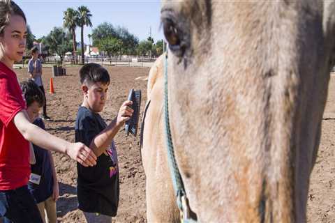 Accommodations for Disabled Attendees at Horse Shows in Scottsdale, Arizona