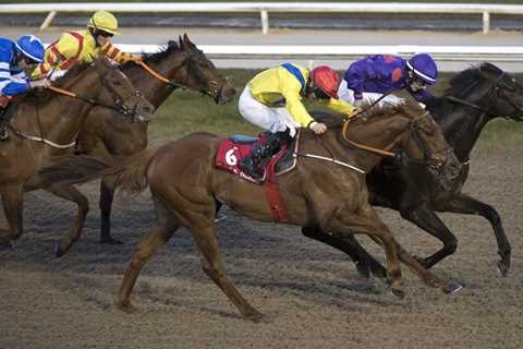 Irish trainer’s first Dundalk runner in 10 years halves in price on Wednesday