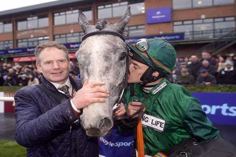 Small Trainer Tom Gibney Wins Irish Grand National with Intense Raffles