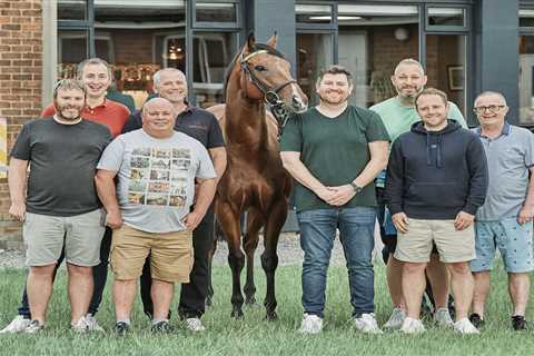 Heartwarming Tale of Eight Friends and Their Bargain Racehorse Turned Winner