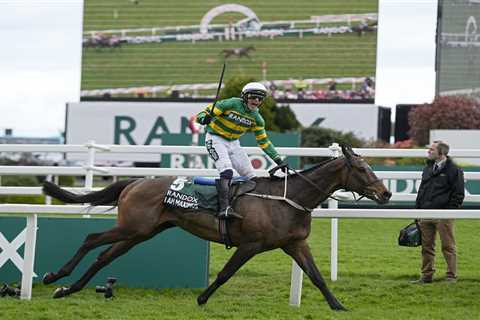 Grand National Winner I Am Maximus Tipped as 'Best this Century' by Experts