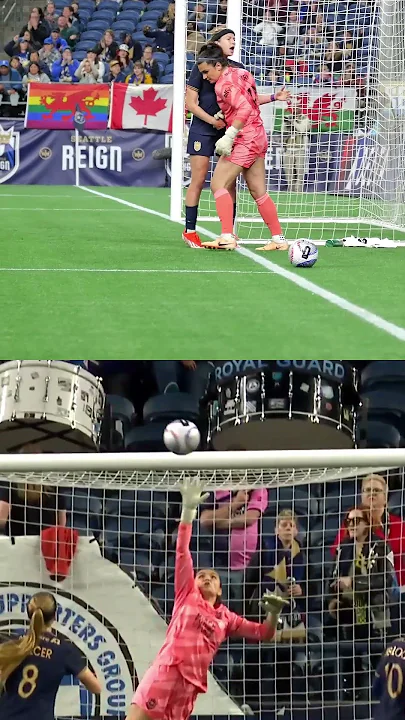 Another moment for this EPIC save   #nwsl #soccer