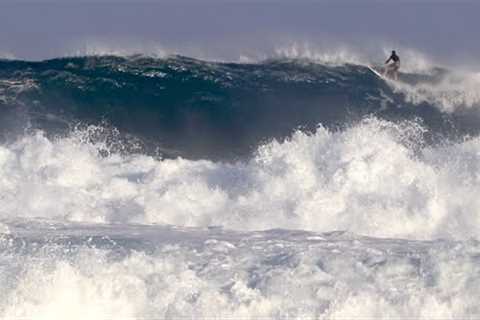 Huge Haleiwa North Shore Hawaii [1/5/24]  Ezekiel Lau, Tatiana Weston-Webb Max Swell Expert Only