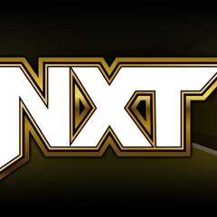 Two Matches Announced For 6/11 WWE NXT, Updated Card