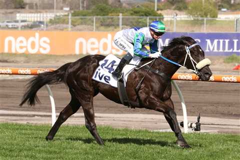 Brisbane’s Winter Racing Heats Up with the 2024 Ladbrokes Doomben 10,000