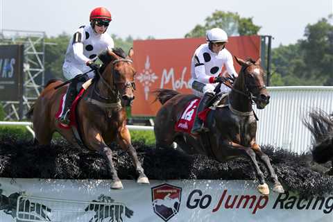 Beverly R. Steinman recap – National Steeplechase Association