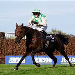Tragic twist: Celebre D'Allen's post-mortem reveals hidden killer after Grand National