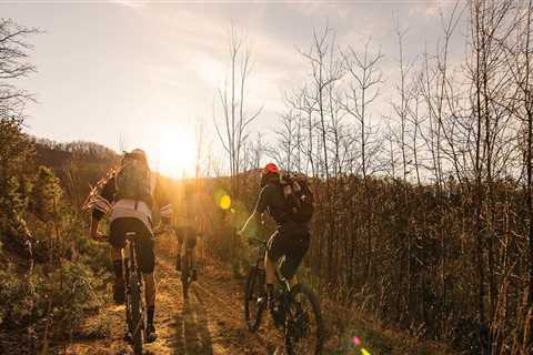 Exploring the Diverse Terrain for Biking in Southeastern Virginia: An Expert's Perspective
