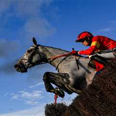 Why British Punters Are Steering Clear of French-Named Horses at the Grand National
