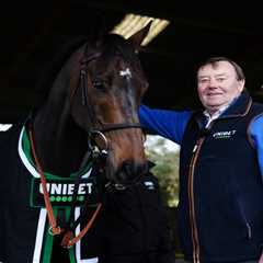 Constitution Hill's £650k Ascot Gold Cup Dream Officially DEAD as Henderson Admits 'Something's..