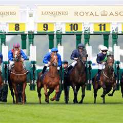 When Your £140k-Per-Race Wonder Horse Becomes the Last Man Standing