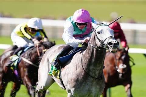 Gosden's Guineas Curse Could Finally End with Majestic Grey