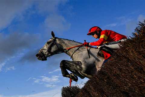 Why British Punters Are Steering Clear of French-Named Horses at the Grand National