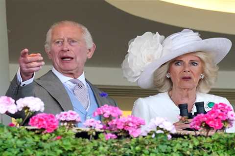 Royal Racing Disappointment: King's Filly Withdrawn from Epsom Classic