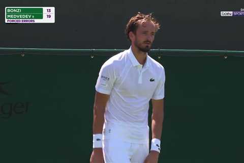 Medvedev's Meltdown: When Tennis Gets Ugly