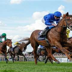 Why I'm Backing a 2,000 Guineas Winner to Demolish the Field at 6 Furlongs