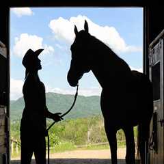 The Ultimate Guide to Attending Equine Events in Southwest Washington
