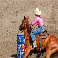 Expert Tips for Staying Updated on Equine Events in Southwest Washington