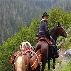The Ultimate Guide to Bringing Your Horse to Equine Events in Southwest Washington
